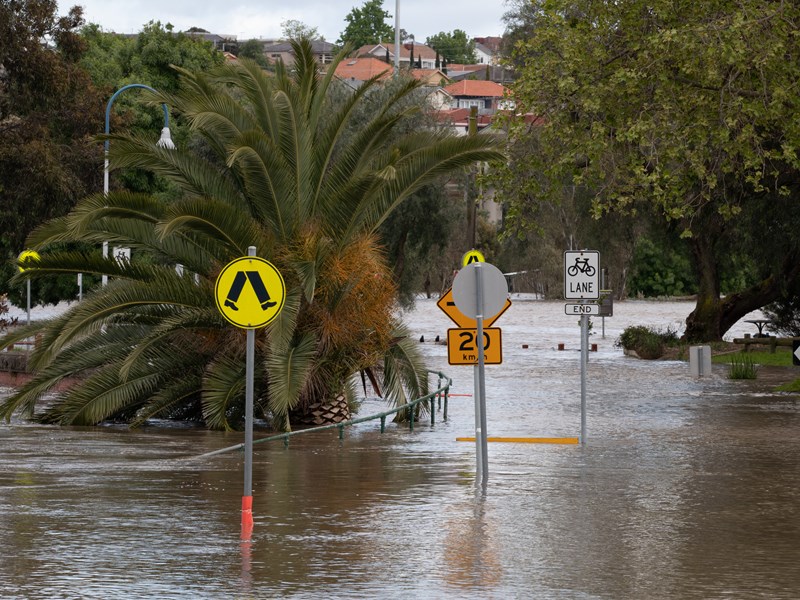 Flood report recommends retrofit of at-risk homes