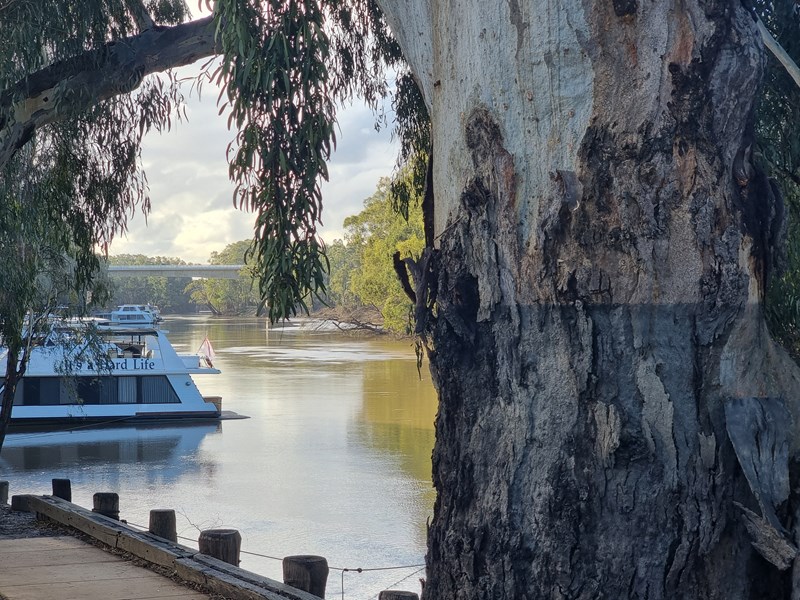 The Legislative Council Environment and Planning Committee will hear from witnesses at Echuca on Thursday 24 August.