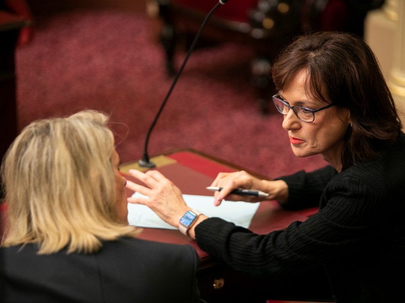 Legislative Council sitting